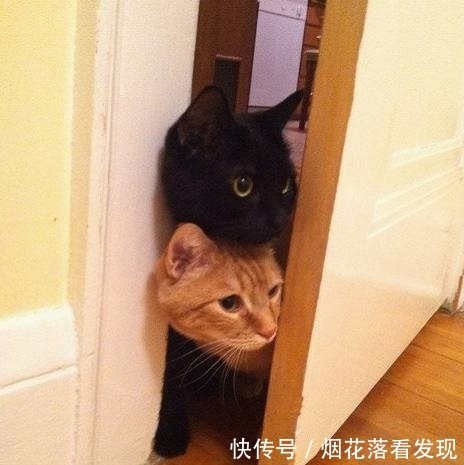 |幽默笑话:有一闺蜜,不爱喝饮料,最近跟他男友闹分手……