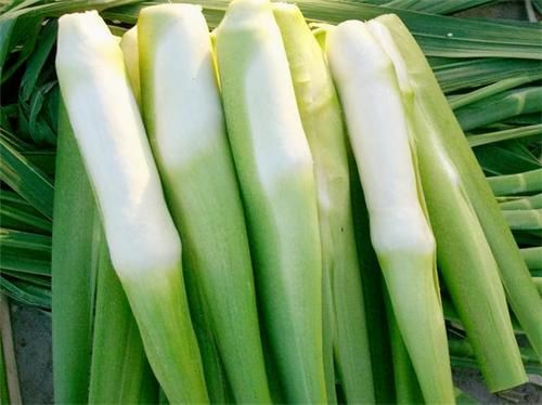 想长寿得会吃，多吃3种食物，营养丰富，有益健康，好处多多