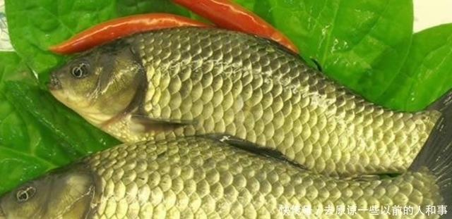 重金属|这3种鱼或是“甲醛”和“重金属”的携带者,建议尽早撤离餐桌