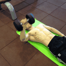 斜方肌|经常训练卧推,胸肌不对称怎么办?3个方法帮你改善