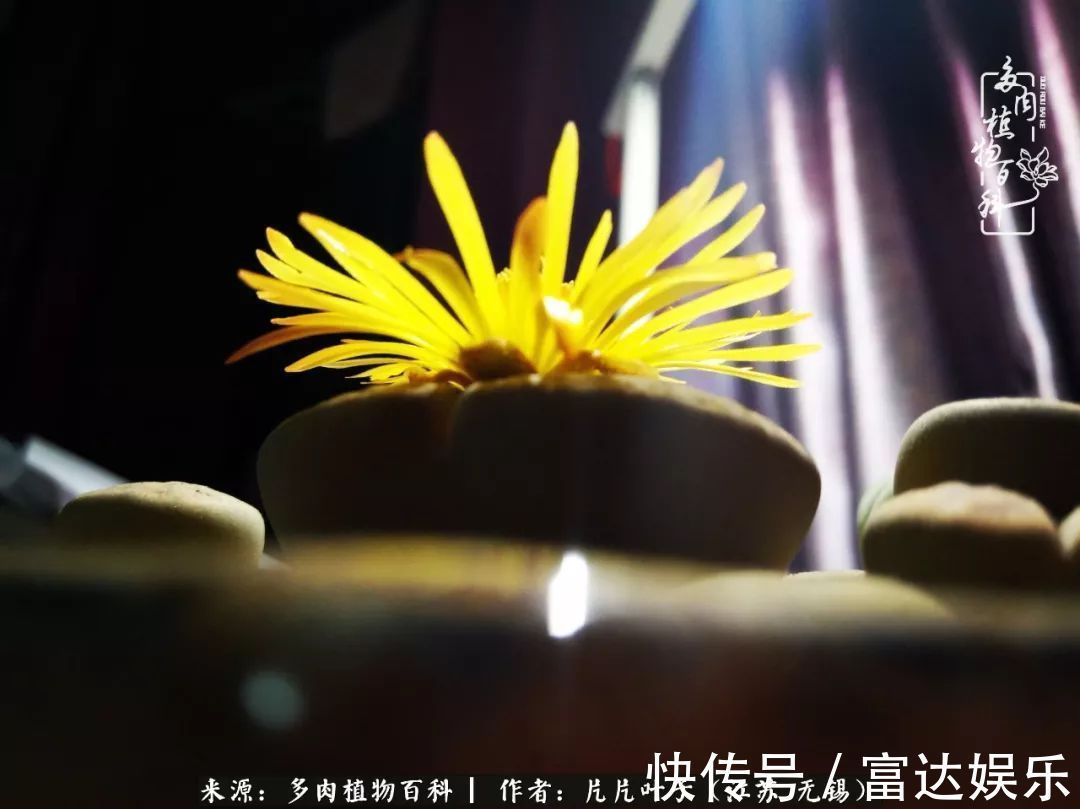 养肉路上，累并快乐着！时光不语，静待花开！