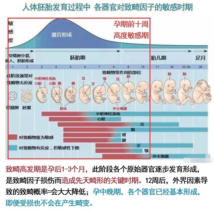 眼霜|618 必薅榜丨2021最受欢迎的孕妇护肤品出炉,孕期护肤不花冤枉钱