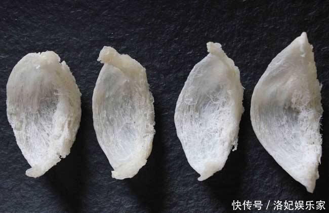 抵抗力|女性进入孕期后常吃4种食物，能增强抵抗力，有利孩子大脑发育