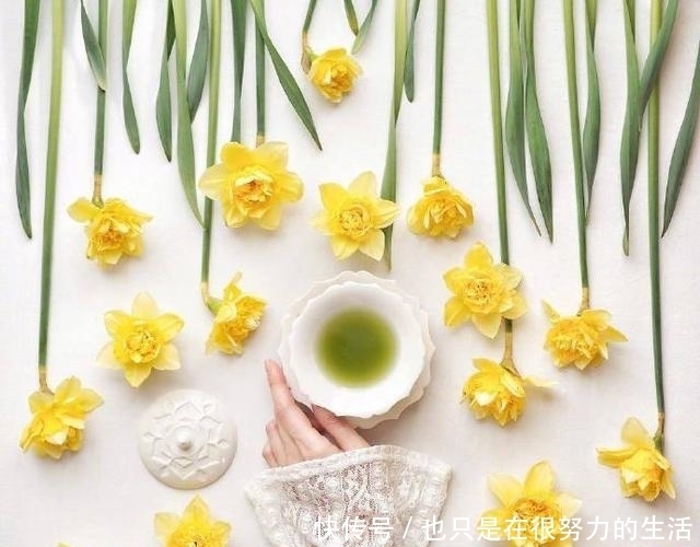 冬至|最新冬至祝福语,句句表真情,字字传心意!