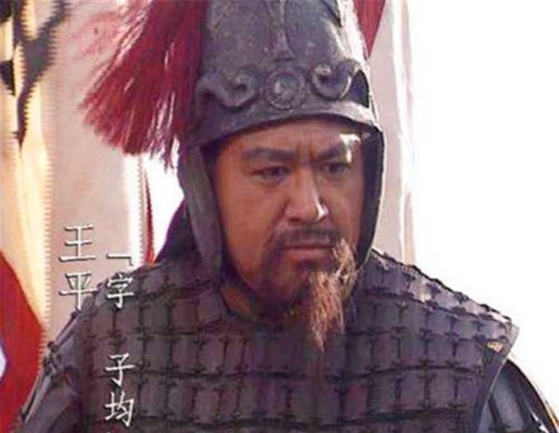 张嶷|蜀汉后期小五虎王平、张翼、张嶷、廖化、马忠,正史中什么结局?