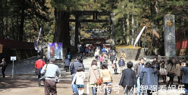 家里养两只猫影响风水