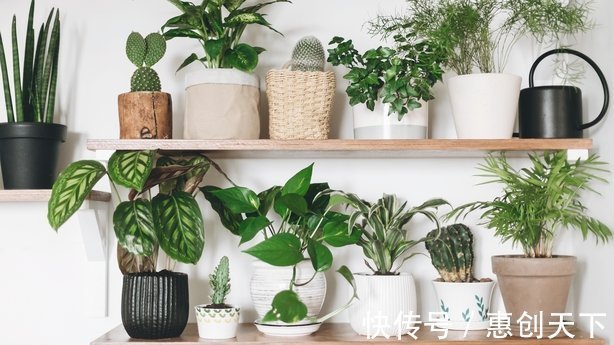 diy|在炎热的日子里让你的房子降温的8种简单方法