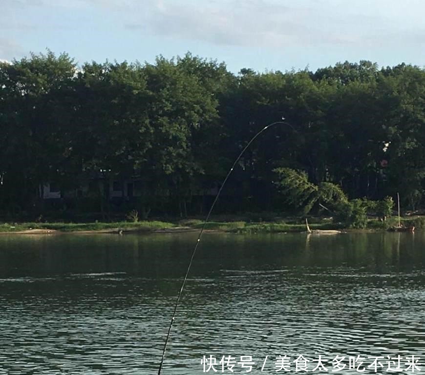 钓鱼|公园钓鱼,鱼竿被拖下水,游泳扛回,发现鱼还在!
