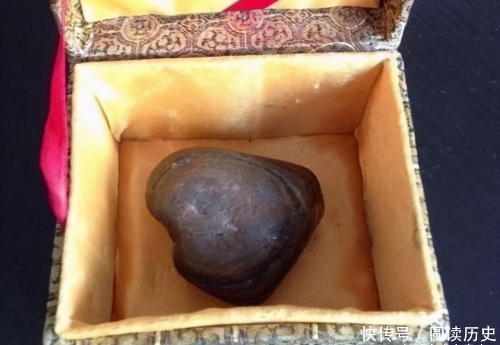 出生|当初自诩是孙悟空后人的女孩,还专门去复旦验了DNA,结局怎样?