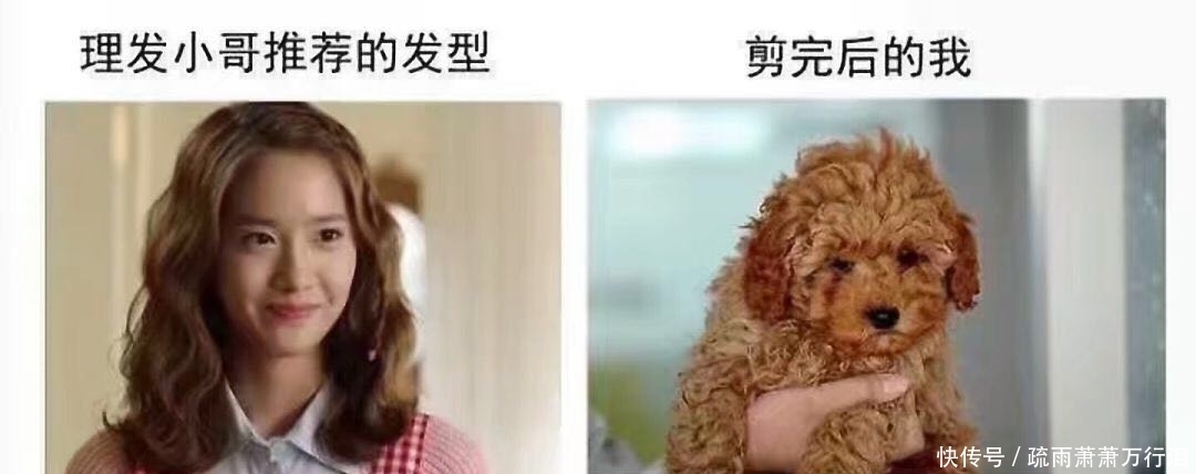 我在理发师眼里是瞎子，理发师在我眼里是聋子，不敢剪头发了