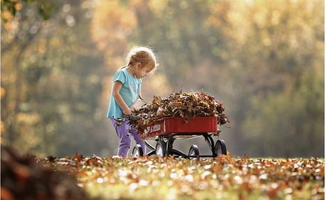 人生|“丢的东西不找,跑的人不追”爸妈给的几句最好的人生忠告