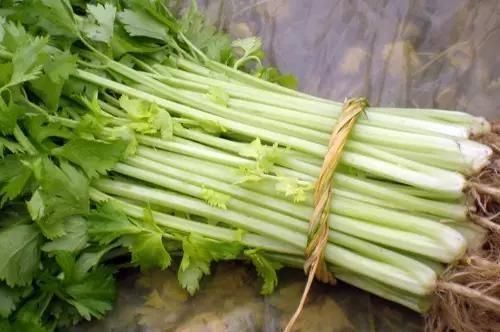 血压|降压的芹菜吃不好,也会造成高血压,芹菜不是随便做就能吃的健康
