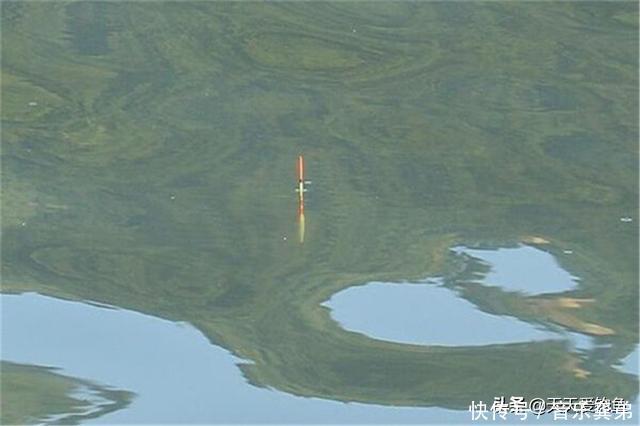 钓鱼调漂技巧为何很多钓友喜欢调平水钓2目,原因在这里