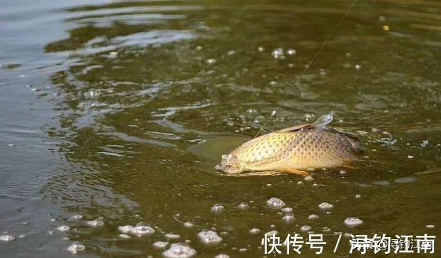 新手|户外作钓,几种常见的误区会让新手朋友栽跟头,希望没有说到你