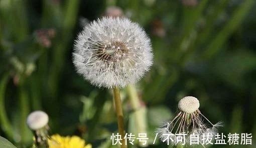 此生|7天后，人山人海，事业飙升，日进斗金，转身离去，不辜负此生