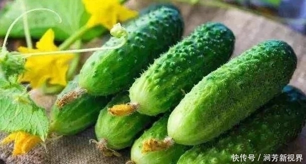 黄瓜虽好但不能乱吃,吃黄瓜注意2大“禁忌”,吃错就是害自己!