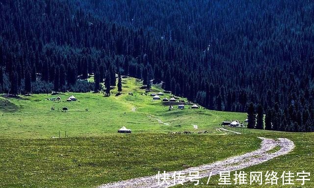 天山|鹿角湾，雪峰云杉，清泉流水，绿草茵茵，是你向往的美景吗？