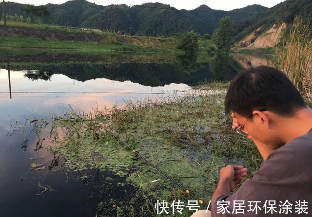 野生|鱼能听到人讲话吗?看完此文,可能你就不会困惑了