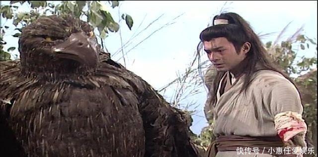 为啥|杨过当初为啥选择救神雕,如果救的是怪蛇,武功会不会变的更强?