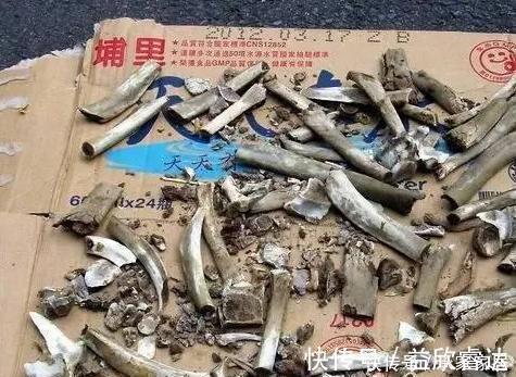 茶叶|养花大爷透露这3种“废渣”养花,比生根水还好用,养1盆爆1盆