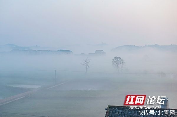 久雨初晴，薄雾轻笼下的家乡景色格外妖娆