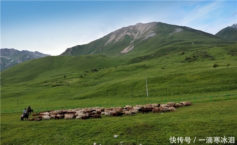 蒙古包|自驾独库公路：那拉提草原牧民，生活过得简单却都是百万富翁