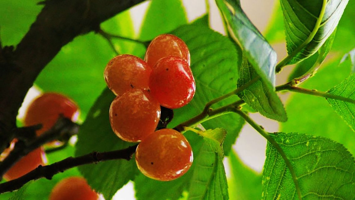 萧萧!流光容易把人抛,这首蒋捷最著名的词作之一,原来是指责战争的
