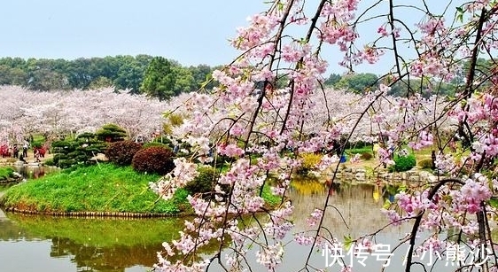 财富|2021年底运势由低走高,事业枯木逢春,财富收入与日俱增三生肖