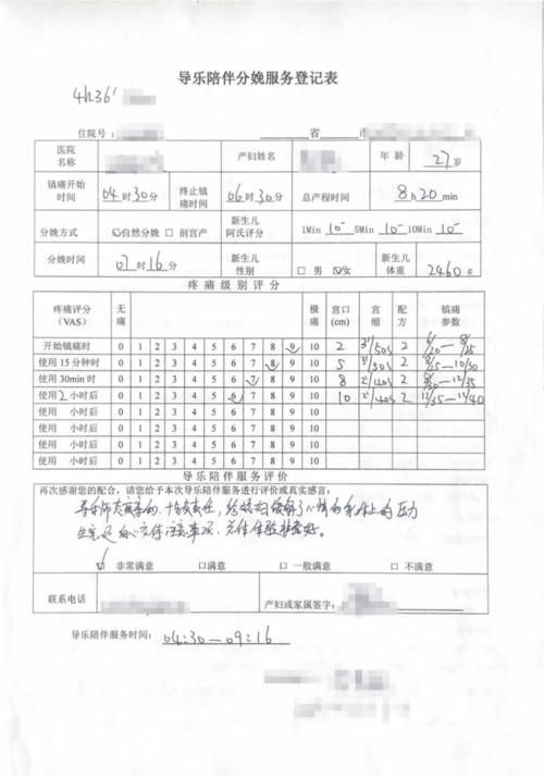 分娩|分娩时用导乐仪进行镇痛有用吗，看看用过的人都怎么说？