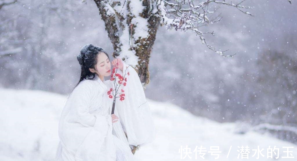 魏相&苏东坡冷门的八首雪诗,读过的都是博学之士