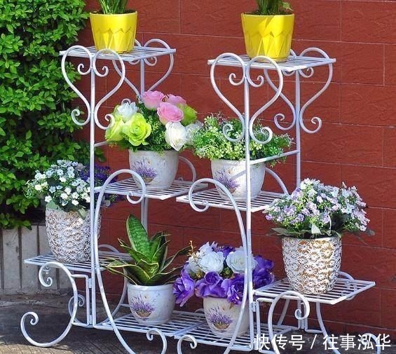 去邻居家串门, 一去阳台我就傻了, 这些“花架”太上档次了