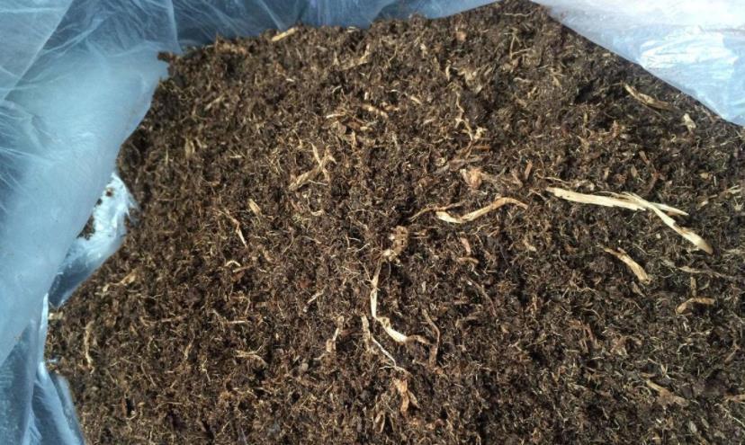 隐患|自制腐叶土养花：用什么土合适，怎么解决虫害隐患？