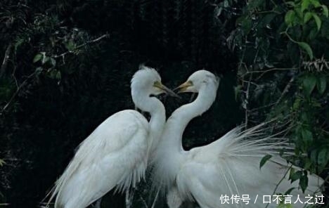 农村俗语“寡年不结婚,无春不造房”是啥意思?