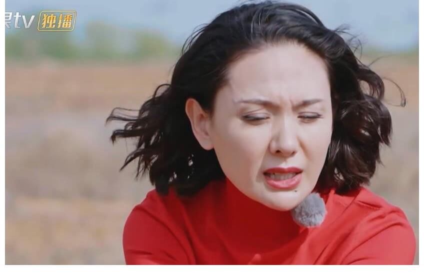 程莉莎，请退出《婆婆和妈妈》第二季！