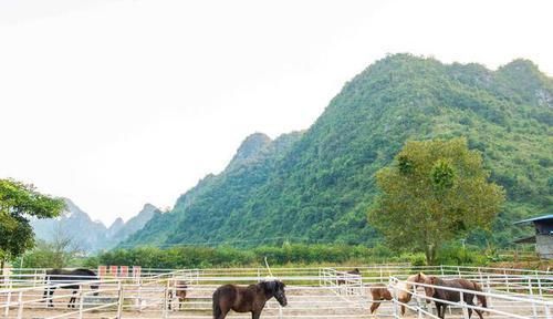 风景|我国最奇怪的梯田景观,多数人绝对没看过,这里还有迷宫般的风景