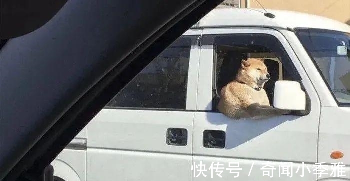 错觉！10个让人产生错觉的照片，被插画家涂抹几笔后，才能看懂