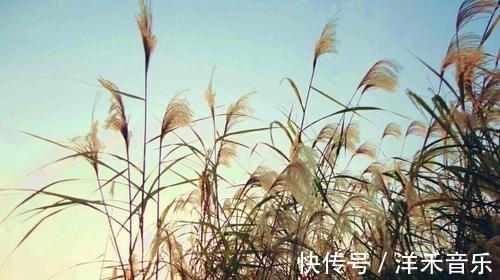 愁情&晏殊的千古名作,满溢愁情,句句都值得背诵