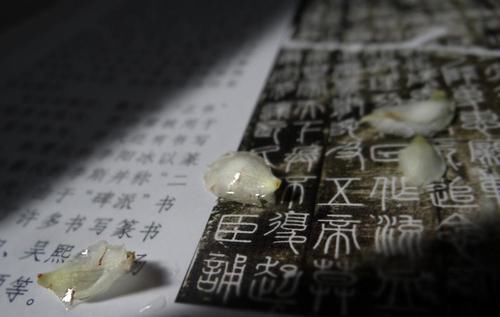 丧礼|古代如何区分亲疏远近？“九族”和“五服”是较为明显的标准