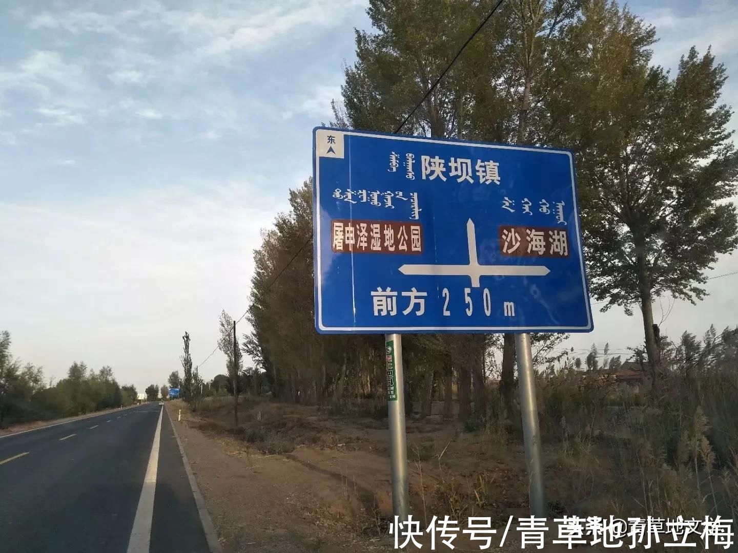 梭梭林@屠申泽，今日芦花又飞雪(组诗)