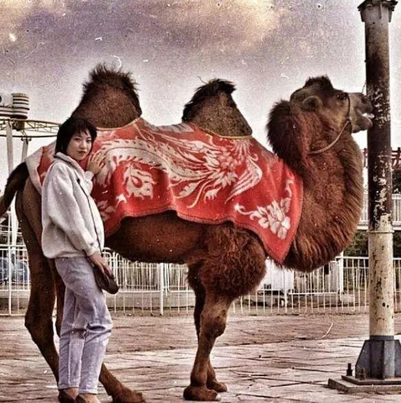 回忆杀&法国艺术家花7年,拯救85万张中国老照片,每张都是回忆杀