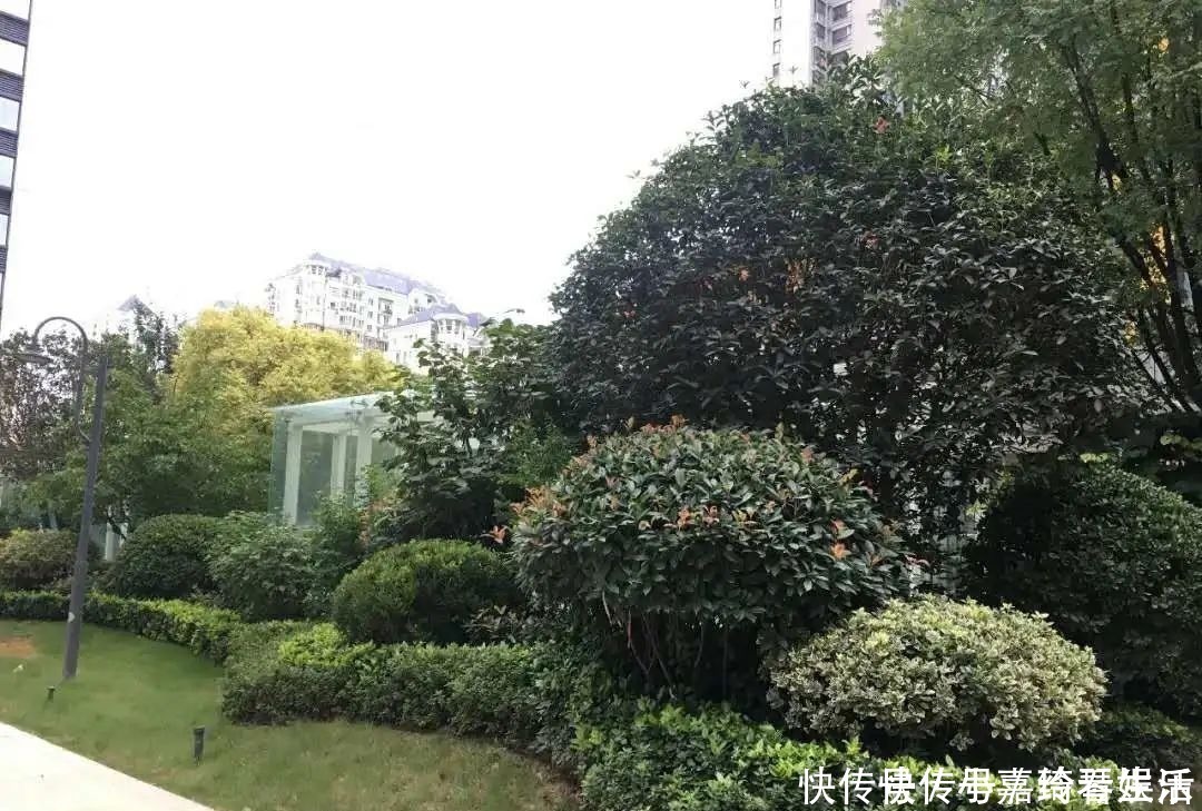 知识|房产证的重要性,你必须知道!丨买房涨知识