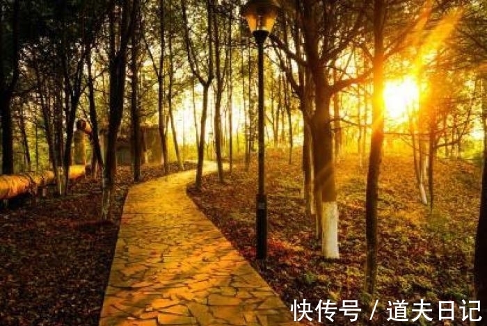 初秋行圃|这首杨万里的小诗,似信手拈来,质朴平实,又风情万种,独特新鲜