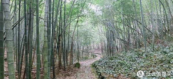 山阴道上行 如在画中游|旅行日志 篇一：绍兴 · 萧绍古道 | 中年