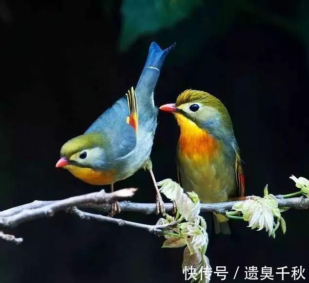 琵琶行!白居易一首冷门情诗,通俗易懂,感情真挚,很多人以为是现代诗