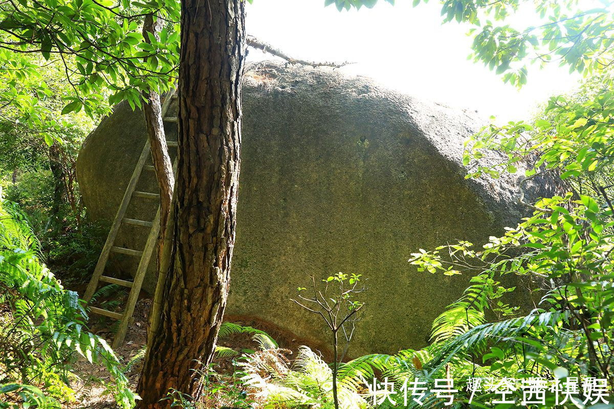 宁波市|世界上最小的湖，长在石头上，小出你的想象