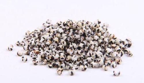 3年的耳聋好了,耳鸣不见了,只需2味药,一通一补,立见效