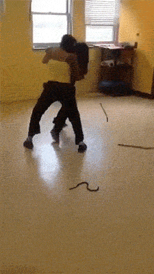 |搞笑动态图:该死,被他装到了!