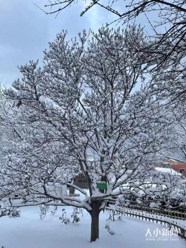 听说你见过最美的雪？快快晒出你的最美雪景