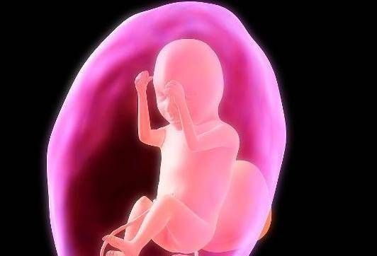 香蕉|怀孕期间,如果孕妇多吃这三种水果,可能胎儿的大脑更聪明,皮肤更白