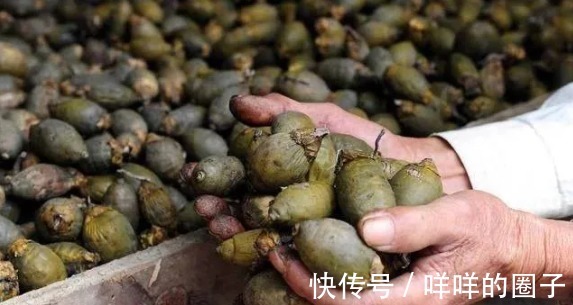 食物|美国全面禁售的食物，却让6000万中国人吃上瘾？看完你还敢吃吗？